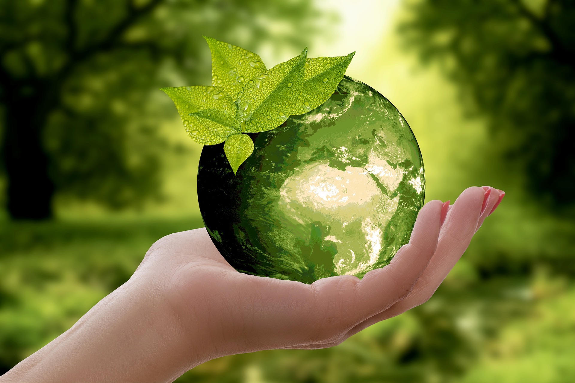 Working Towards Green Manufacturing