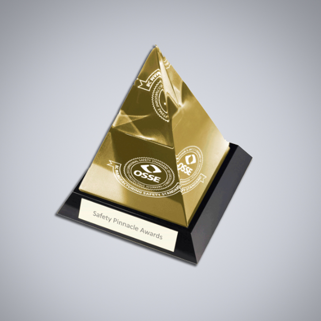 Wesgar presented with the Topaz Pinnacle Award for COR/OSSE certification